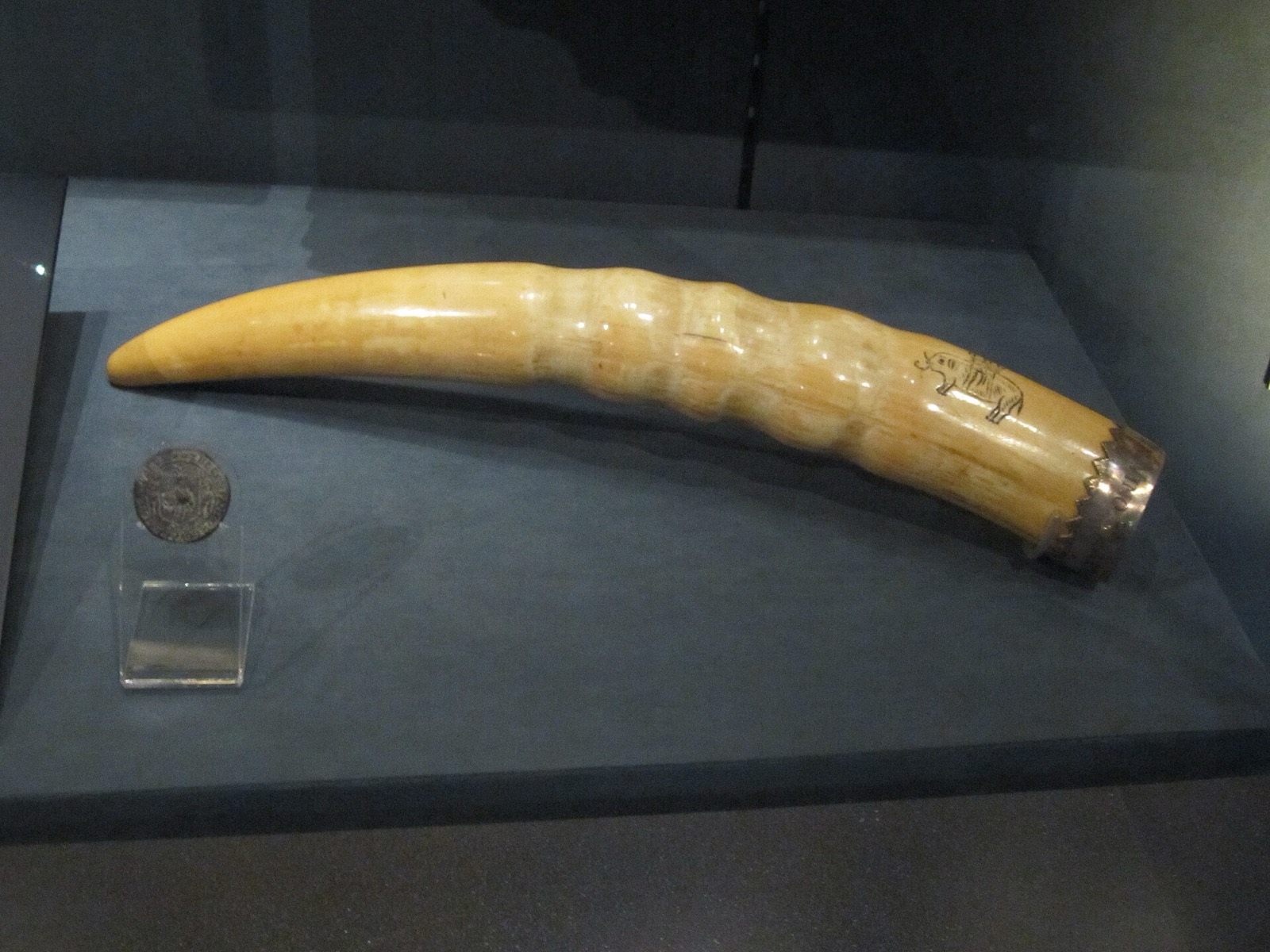 Ivory marked with the Royal African Company’s elephant emblem